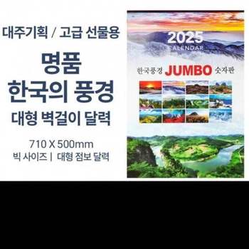 2025년 벽걸이 달력 고급형 대형