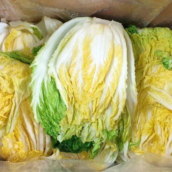 강원도 고랭지 절임배추 20kg(4-9포기내외)