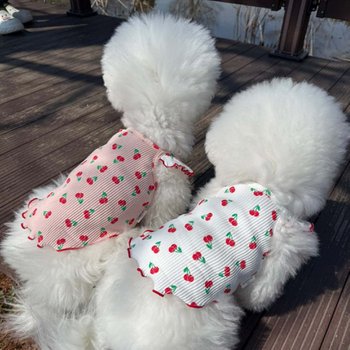 [쥬비코 강아지옷] 체리 골지 슬리브리스