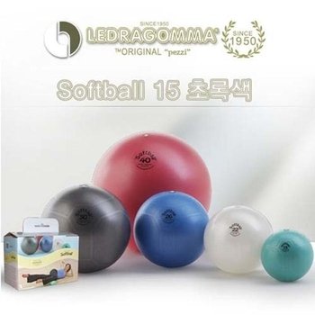 [ME38N197_53EA]짐볼 미니짐볼 맥스카페 소프트볼15 (32242895)