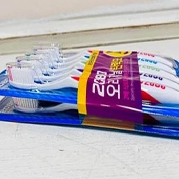성인용 칫솔 탄력모 10P 교체 양치도구 판촉물 잇몸관리 케이스 개인위생도구 치과용품