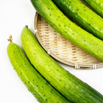 백오이 오이지 오이냉국 오이소박이 10kg