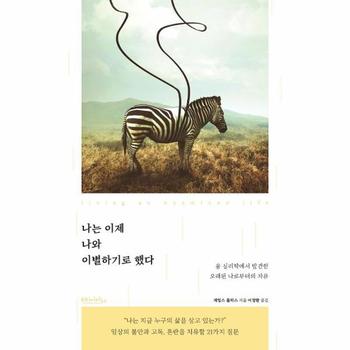 나는 이제 나와 이별하기로 했다 - 융 심리학에서 발견한 오래된 나로부터의 자유