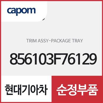 패키지 트레이 트림 (856103F76129) 오피러스