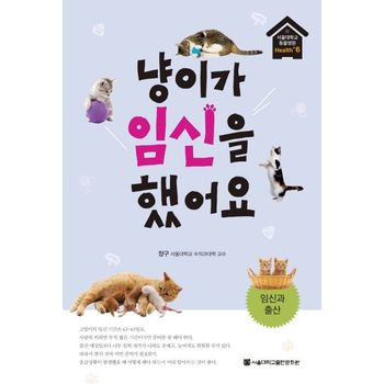 냥이가 임신을 했어요