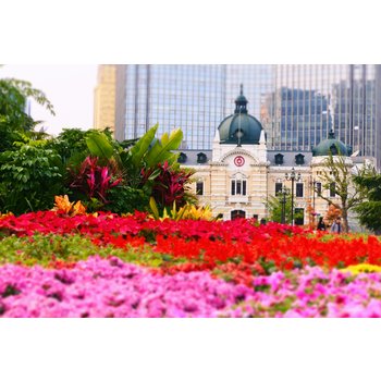 [밤출발][4명부터 출발]대련 3일 시내중심4성급호텔 핫플레이스동방수성 트램탑승 연화산전망대 야시장 특식1회