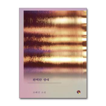 완벽한 생애 (창비 소설Q)