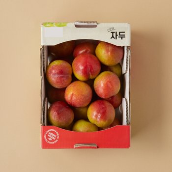 [트레이더스]자두 2kg 박스