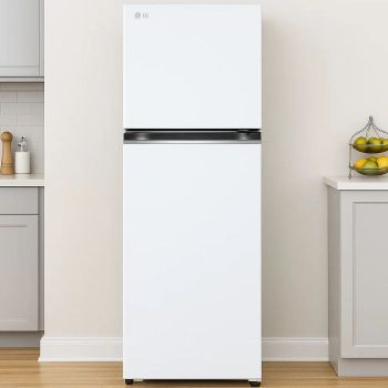 LG전자 2도어 317L 화이트 B315W11 무료배송/물류배송