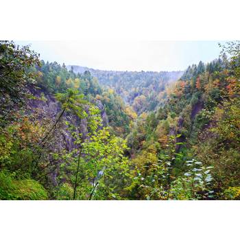 [민족의명산/호텔UP] 심양 백두산 5일(준5성/북파/서파/고구려유적지) BCP780CZ5B