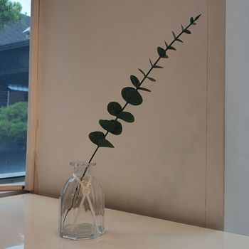 인테리어 촬영소품 유칼립투스 조화 B 장식 나뭇잎