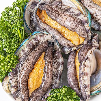 [웰굿] 완도직송 명품 활 전복 1kg(6-7미,왕특대)