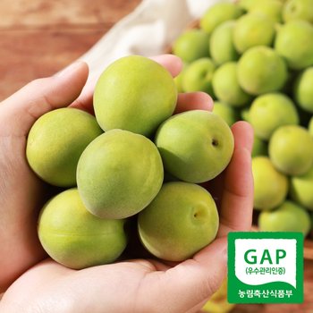 [6월22일 순차출고]광양매화골매실 매실 토종 10kg(청매실 엑기스용)