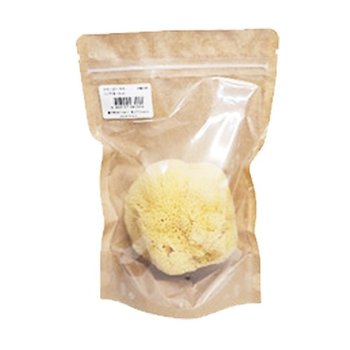 천연해면 8~10cm 1개입 미술놀이 W82-04 (WD70669)