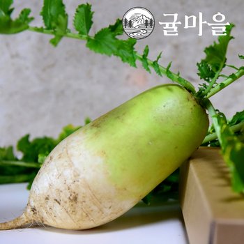 귤마을 아삭 달큰한 국내산 무우 10kg내외
