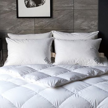 바르샤바 폴란드90 구스베개솜 1060g 50x70