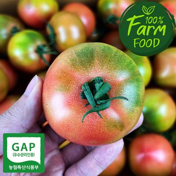 [잇츠팜] GAP인증  경주안강토마토 10kg(중과/4~5번)