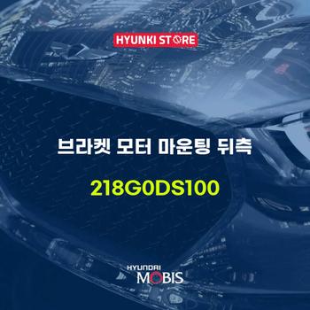 브라켓 모터 마운팅 뒤측 (218G0DS100)