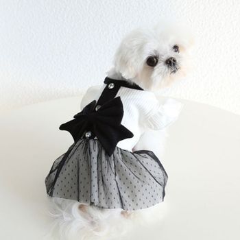 강아지 ENTV0982 애견 외출복 프릴 빅리본 샤샤치마 원피스