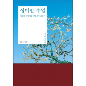 [큰글자도서] 심미안 수업 - 어떻게 가치 있는 것을 알아보는가