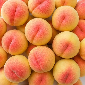 아삭달콤한 고당도 말랑 딱딱이 털복숭아 2kg 대과 5-7과 내외