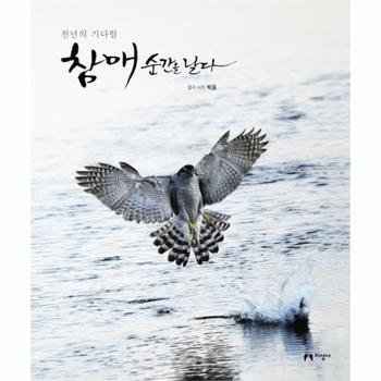 참매 순간을 날다(천년의 기다림)
