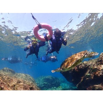 [신상품] 대만/가오슝/소류구/타이난 4일 힐링다이브 바다거북 스노클링 로맨틱선셋 2025하나투어여행공모전작품 ATP352C5AE4341B