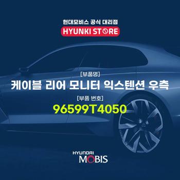 케이블 리어 모니터 익스텐션 우측 (96599T4050)