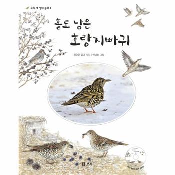 홀로 남은 호랑지빠귀