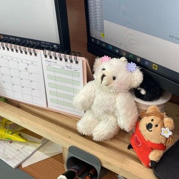 [MEM10927_65]곰돌이 곰돌이키링 인형 키링 화이트 (50045686)