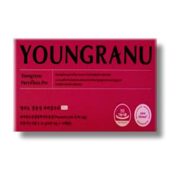 영라뉴 장용성 파비플로라 PRO 440mg x 14캡슐 (S33109036)
