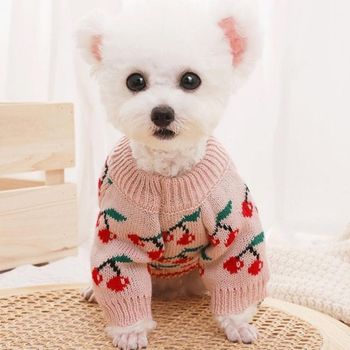 핑크 체리니트 강아지 니트 반려견 옷 애견 강아지옷