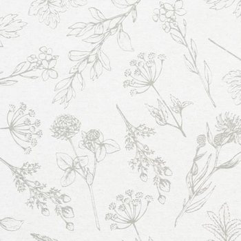 [해외] 헤드 디자인 포장 종이 - 벨 플랜츠 100장 W700×H500mm HEADS DWP-BEP