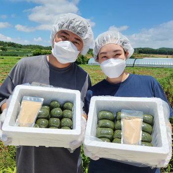 [직접농사지은] 해남 해풍 쑥떡