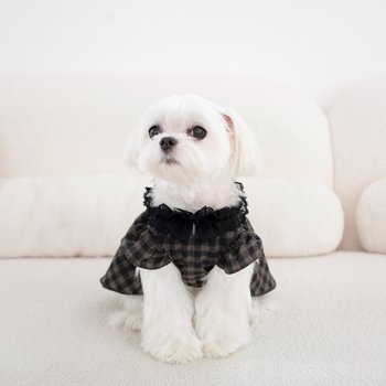 [신세계백화점]리틀 프린세스 베이비돌 강아지원피스 마이리틀독