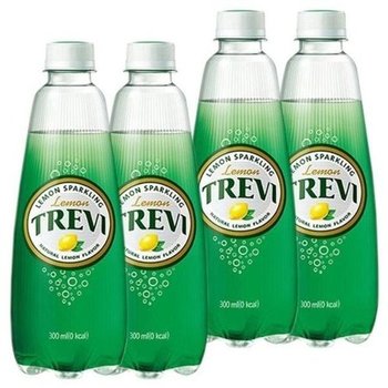 [HYD213L6_56]트레비 자몽 레몬 300ml 40PET(20펫x2BOX) (36251963)