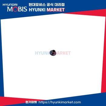 칼라 (31126G8000)