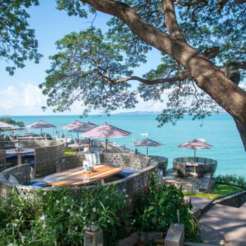 [대구출발] FULL 방콕파타야 5일 돌핀쇼반일자유시간전통안마1시간산호섬투어