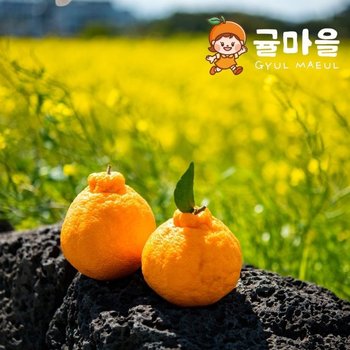 귤마을 프리미엄 하우스 한라봉 4.5kg 중과