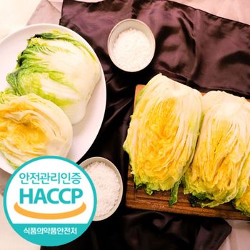 [연중생산] HACCP 매일 만나는 프리미엄 김채 절임배추 20kg (화요일~토요일 배송,공휴일 제외)