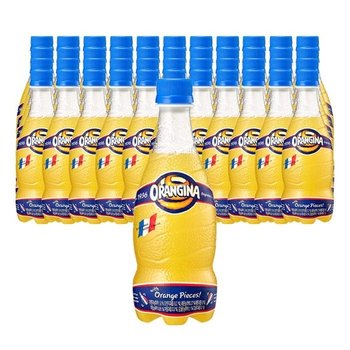 롯데칠성 오랑지나 오렌지 420ml 48개 (9966389)