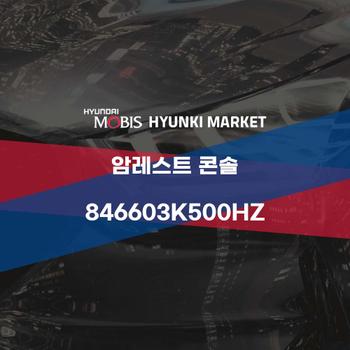 암레스트 콘솔 (846603K500HZ)