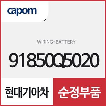 배터리 와이어링 (91850Q5020) 셀토스