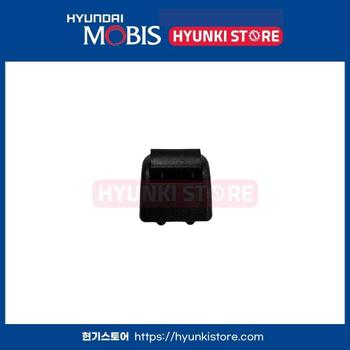 훅리어 도어 커튼 (839122W000)  현대모비스부품몰