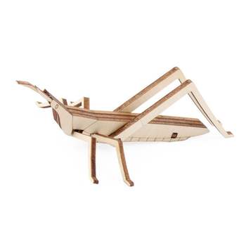 DIY LN07PZ91 목재 방아깨비 곤충 만들기 X5개 학습교구 형