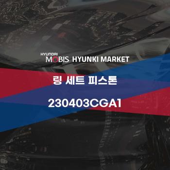 링 세트 피스톤 (230403CGA1)