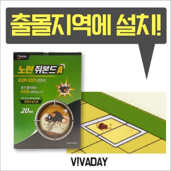 SD 뉴노런본드 쥐끈끈이 20개입 쥐덫 펜션 소독용품 식당