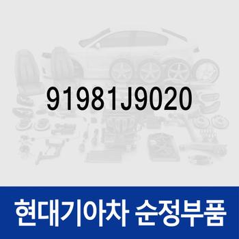 그로매트 (91981J9020) 더 뉴 셀토스 (페이스리프트), 코나 (OS)/N (OS)/더 뉴 (OS)/(OS) 하이브리드/(OS) 일렉트릭 전기차, 쏘울 부스터 (SK3)/부스터 (SK3) EV 전기차