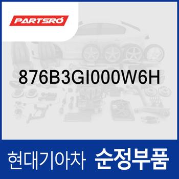 하우징-디지털 사이드미러,우측 (876B3GI000W6H) 아이오닉6 전기차