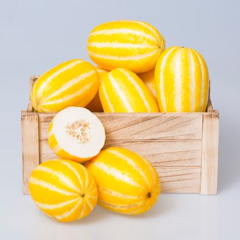 싱싱한 참외 5kg 외 (실중량 4.5kg)